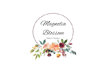 Magnolia Blossom Reborn Nursery eGift 